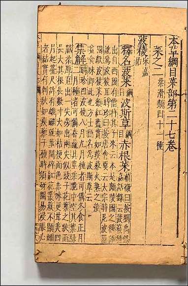 [下载][本草纲目]二三.pdf