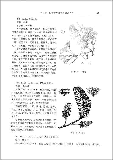 [下载][福建志.生物志]二.pdf