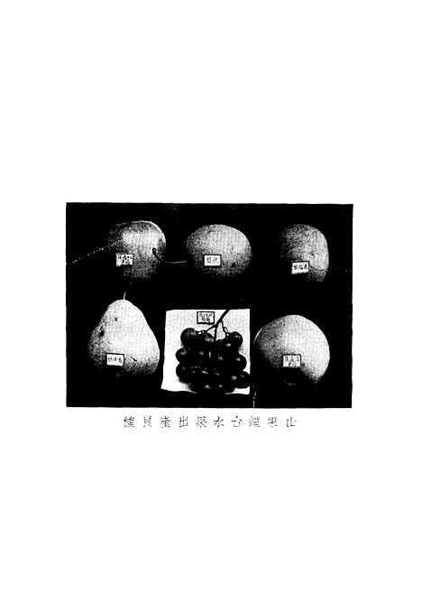 [下载][中国重要果树园艺]中华书局.pdf