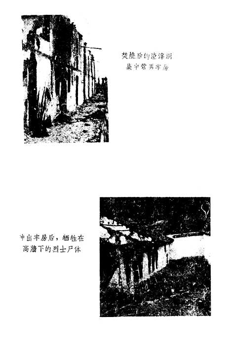 [下载][在烈火中永生]中国青年.pdf