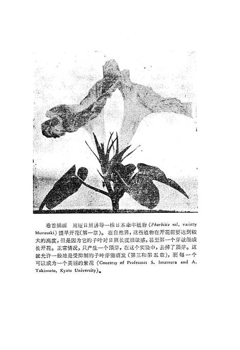 [下载][植物发育的控制机理]科学.pdf