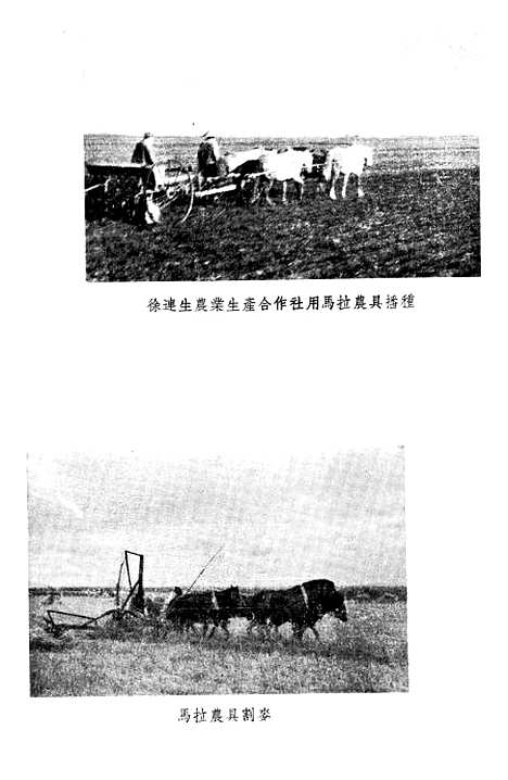 [下载][草原上]中国青年.pdf