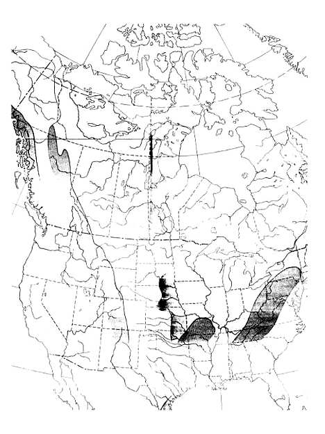 【Regional Geography Of Anglo-American】C Langdon White Edwin J Foscue Tom L McknightPrentice-Hall Inc Englewood Cliffs Nj.pdf