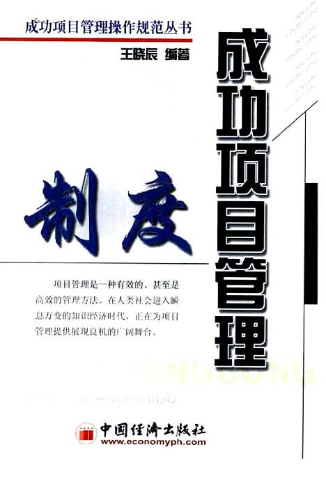 [下载][成功项目管理制度]王晓辰_中国经济.pdf