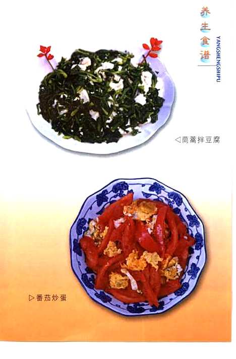 [下载][家菜野菜养生食谱]王新根_上海科学普及.pdf