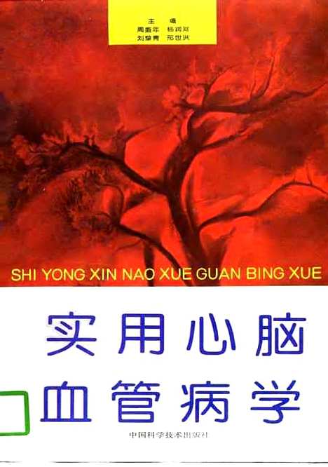 [下载][实用心脑血管病学]周盛年杨润河_中国科学技术.pdf