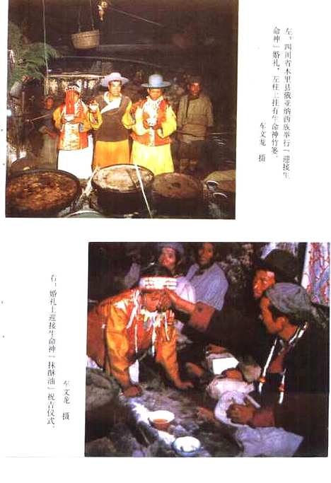 [下载][原始生命神与生命观]杨福泉_云南人民.pdf