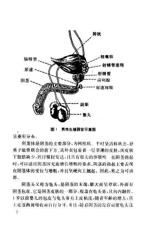 [下载][不孕不育家庭自疗]陈光来_江西科学技术.pdf