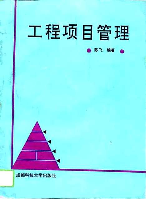 [下载][工程项目管理]陈飞.pdf