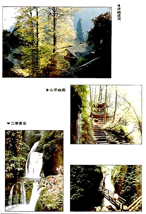 [下载][青城山志]四川.pdf