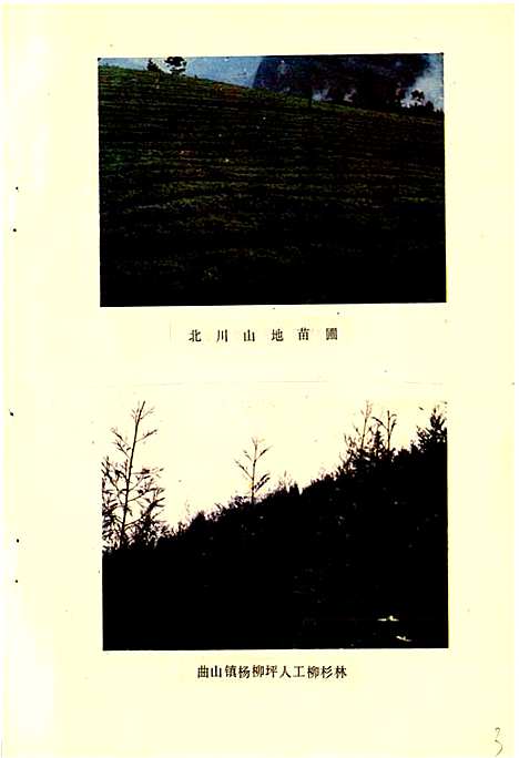 [下载][北川县志林业志]四川.pdf