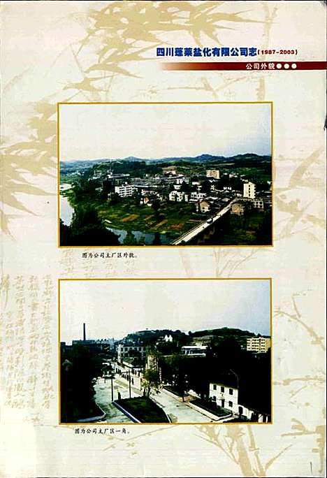 [下载][四川蓬莱盐化有限公司志]四川.pdf