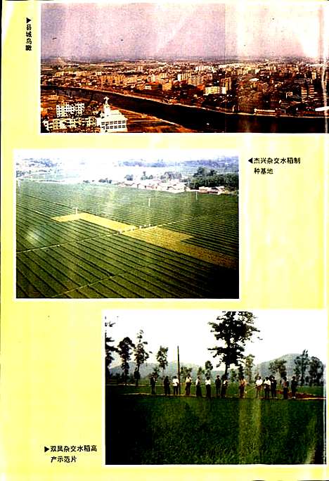 [下载][中江县志]四川.pdf