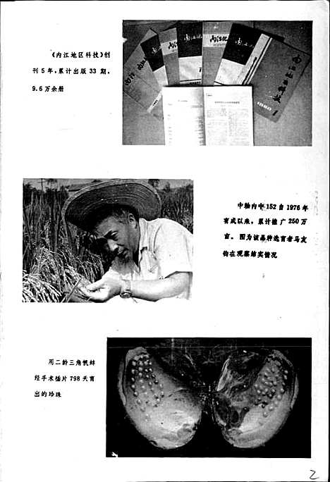 [下载][内江地区科学技术志]四川.pdf