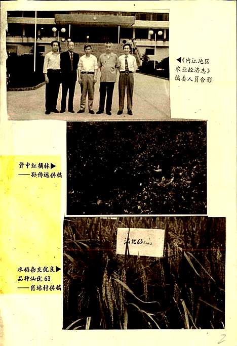 [下载][内江地区农业经济志]四川.pdf