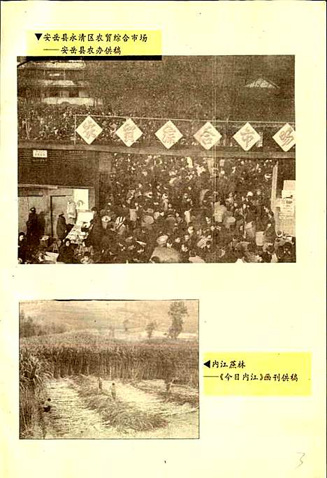 [下载][内江地区农业经济志]四川.pdf