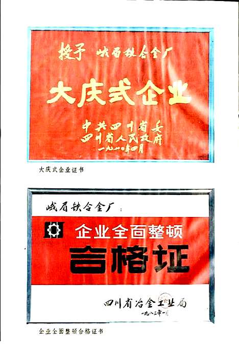 [下载][峨眉铁合金厂志]四川.pdf