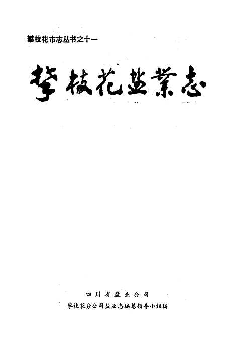 [下载][攀枝花盐业志]四川.pdf