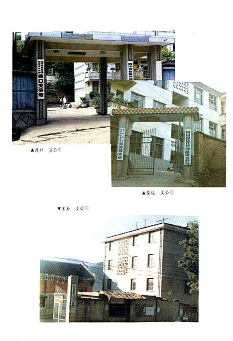 [下载][攀枝花盐业志]四川.pdf