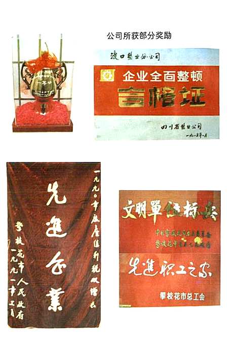 [下载][攀枝花盐业志]四川.pdf