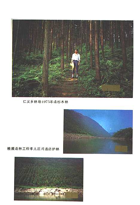 [下载][珙县林业志]四川.pdf