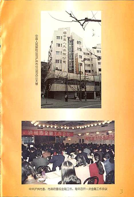 [下载][泸州市金融志]四川.pdf