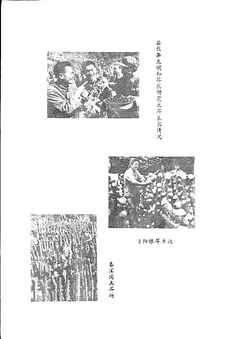 [下载][通江县供销合作志]四川.pdf