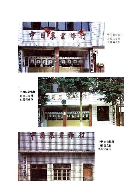 [下载][丹棱县农村金融志]四川.pdf