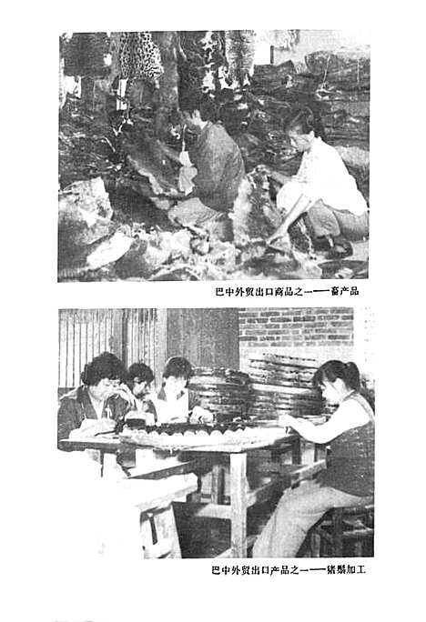 [下载][巴中外贸志]四川.pdf