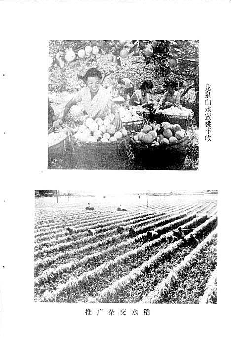 [下载][四川省成都市地名录_第三分册龙泉驿区]四川.pdf