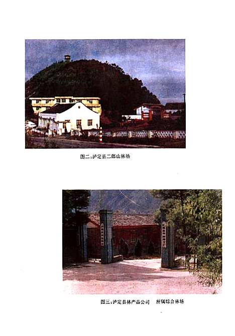 [下载][甘孜藏族自治州泸定县林业志]四川.pdf