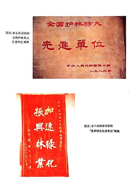 [下载][甘孜藏族自治州泸定县林业志]四川.pdf