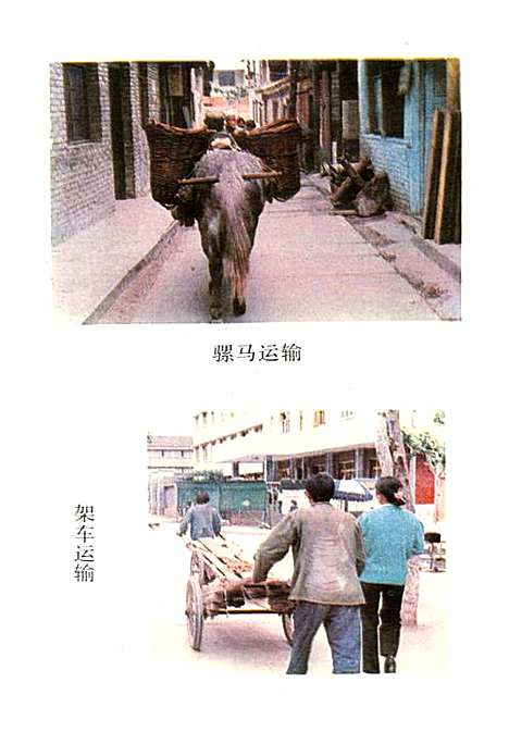 [下载][南坪县交通志]四川.pdf