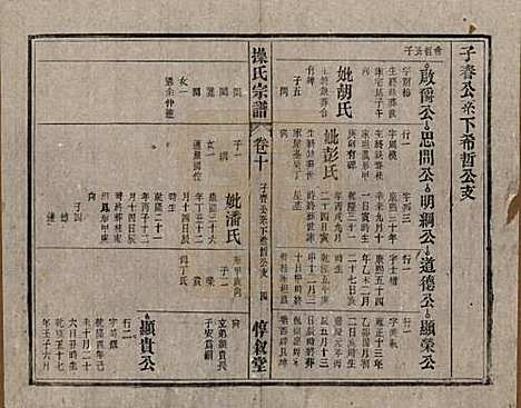 [下载][操氏宗谱]安徽操氏(共六十三卷)__民国三十七年（1948）_十.pdf