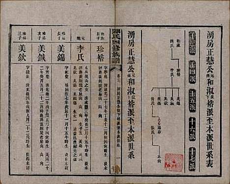 [下载][陈氏四修族谱]湖南陈氏__民国37年1948_十七.pdf