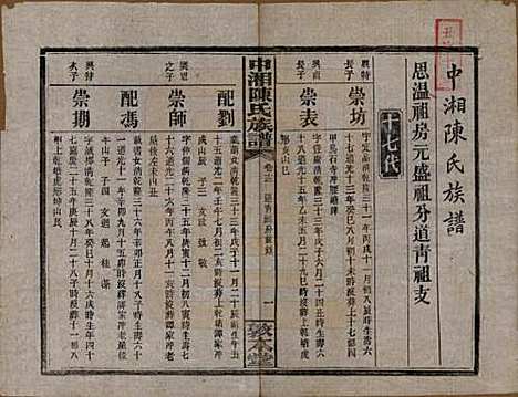 [下载][中湘陈氏族谱]湖南陈氏(共三十二卷)__民国九年（1920）_十三.pdf