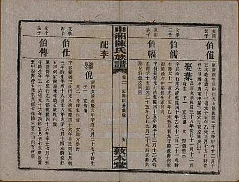 [下载][中湘陈氏族谱]湖南陈氏(共三十二卷)__民国九年（1920）_二十一.pdf