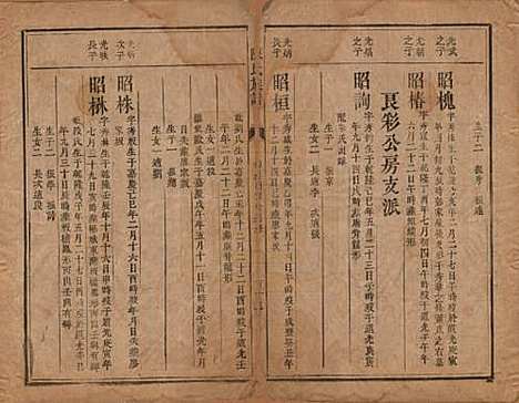 [下载][陈氏族谱]湖南陈氏__清同治三年（1864）_八.pdf