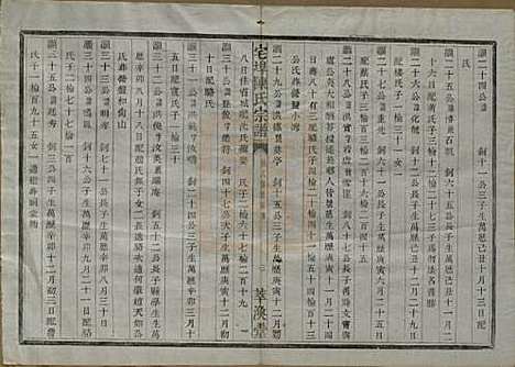 [下载][宅埠陈氏宗谱]中国陈氏(共二十八卷)__清同治五年（1866）_十四.pdf