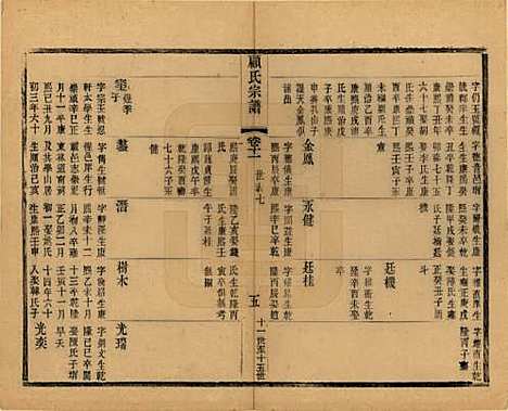 [下载][顾氏宗谱]江苏顾氏(共十九卷首一卷)__清光绪二十三年（1897）_十一.pdf