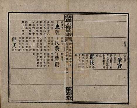 [下载][胡氏五修族谱]湖南胡氏__民国十三年（1924）_十五.pdf