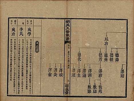 [下载][胡氏八修族谱]湖南胡氏(共十二卷卷首一卷补遗一卷)__清光绪三十一年（1906）_五.pdf