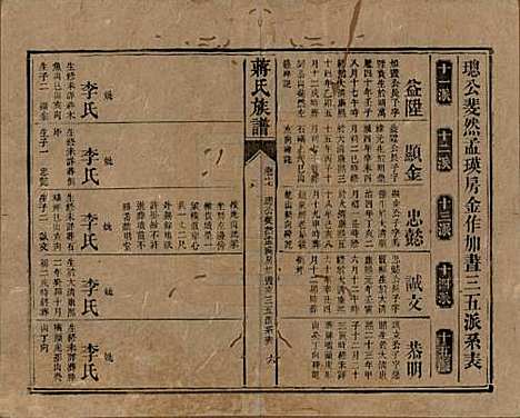 [下载][蒋氏族谱]湖南蒋氏__清光绪11年（1885）_十七.pdf