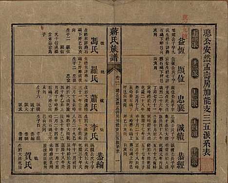 [下载][蒋氏族谱]湖南蒋氏__清光绪11年（1885）_二十一.pdf