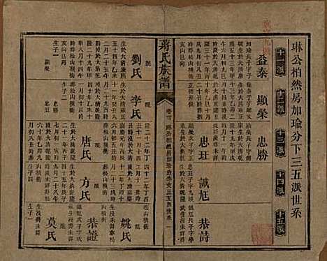 [下载][蒋氏族谱]湖南蒋氏__清光绪11年（1885）_三十.pdf