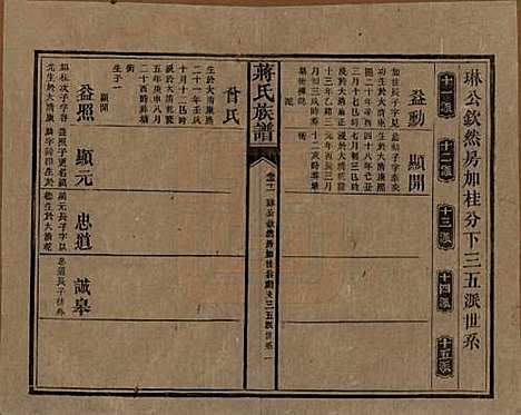 [下载][蒋氏族谱]湖南蒋氏__清光绪11年（1885）_三十一.pdf