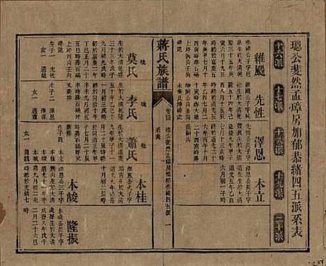 [下载][蒋氏族谱]湖南蒋氏__清光绪11年（1885）_四十四.pdf