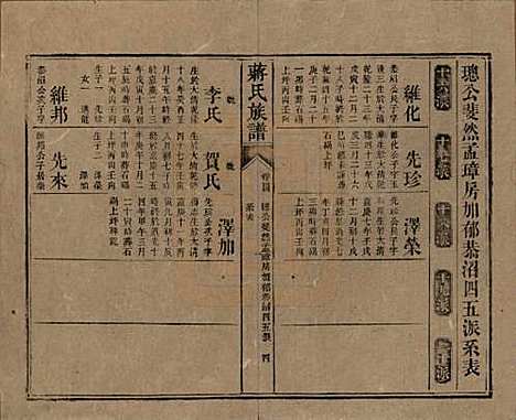 [下载][蒋氏族谱]湖南蒋氏__清光绪11年（1885）_四十四.pdf