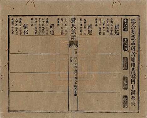 [下载][蒋氏族谱]湖南蒋氏__清光绪11年（1885）_四十八.pdf