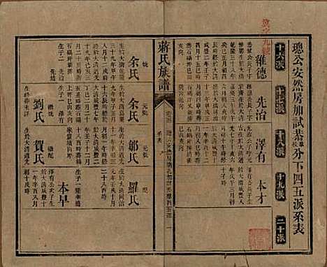 [下载][蒋氏族谱]湖南蒋氏__清光绪11年（1885）_五十一.pdf